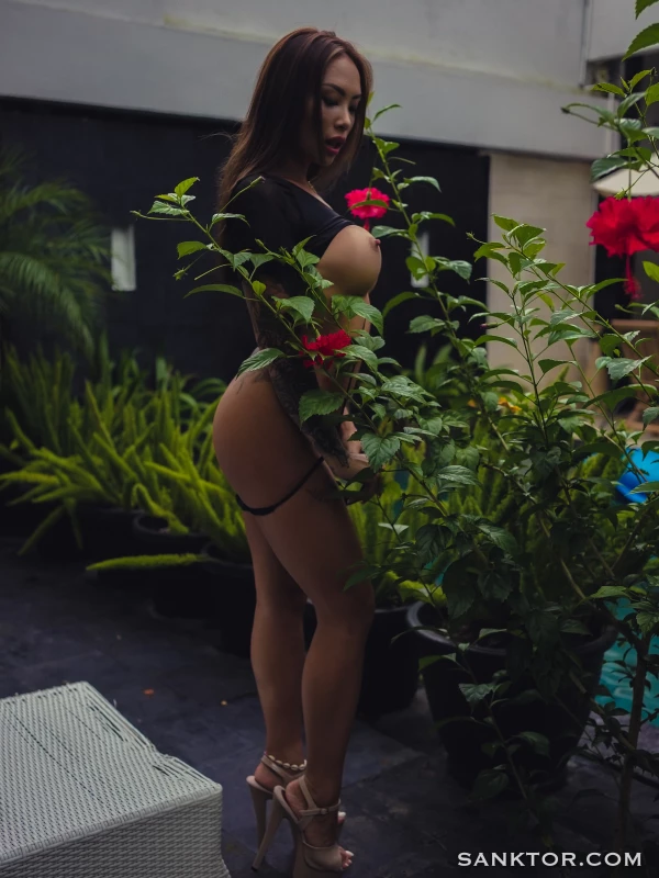 thai erotica