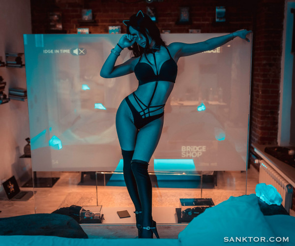 The life erotic - Michelle Sanktor